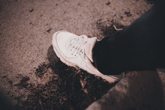 Nike Dunk Low Nasıl Giyilir: Klasik Stil Rehberi